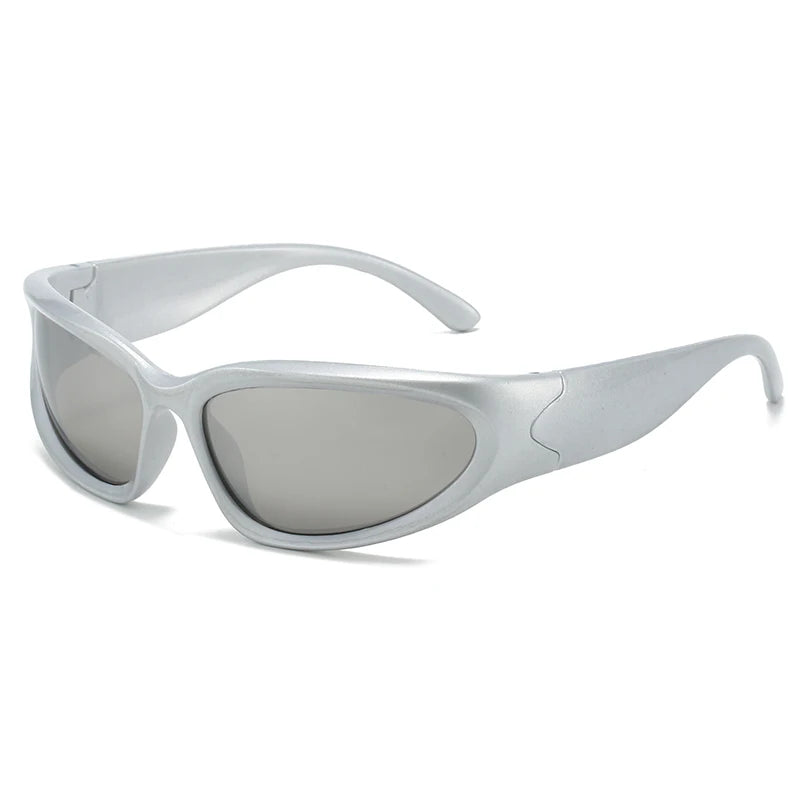 Thick Frames Classic Sunglasses